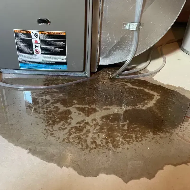 Appliance Leak Cleanup in New Castle, CO